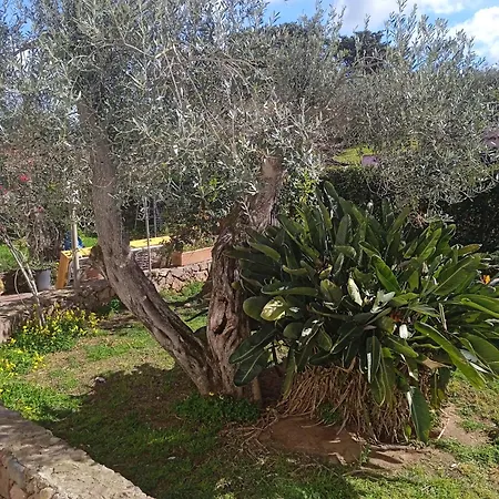 Marmaga Hotel Alghero